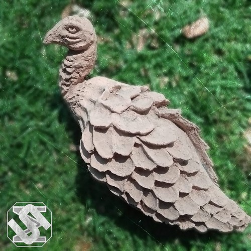 Ostoserĉado Silfium500