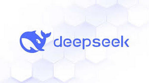 Deepseek500