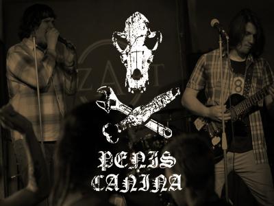 Penis Canina